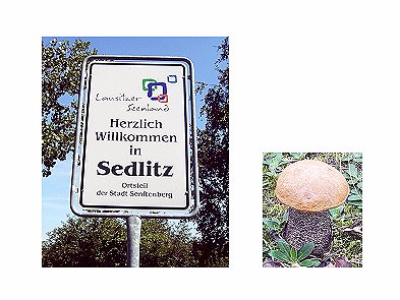 Willkommen in Sedlitz